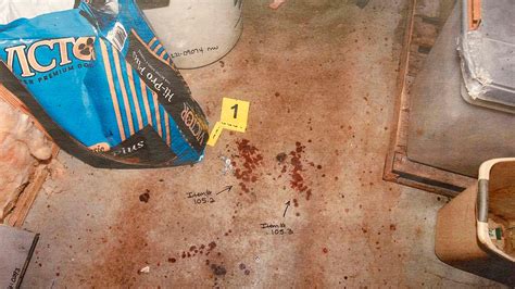 maggie murdaugh photos autopsy|Photo Gallery: See evidence photos from Alex。